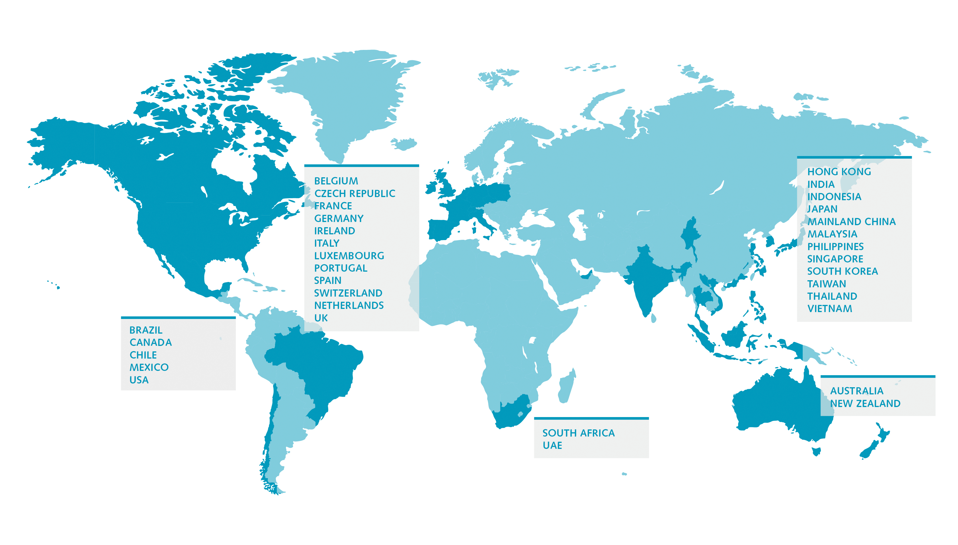 mapa global de los países en los que está presente Robert Walters con sus unidades de negocio